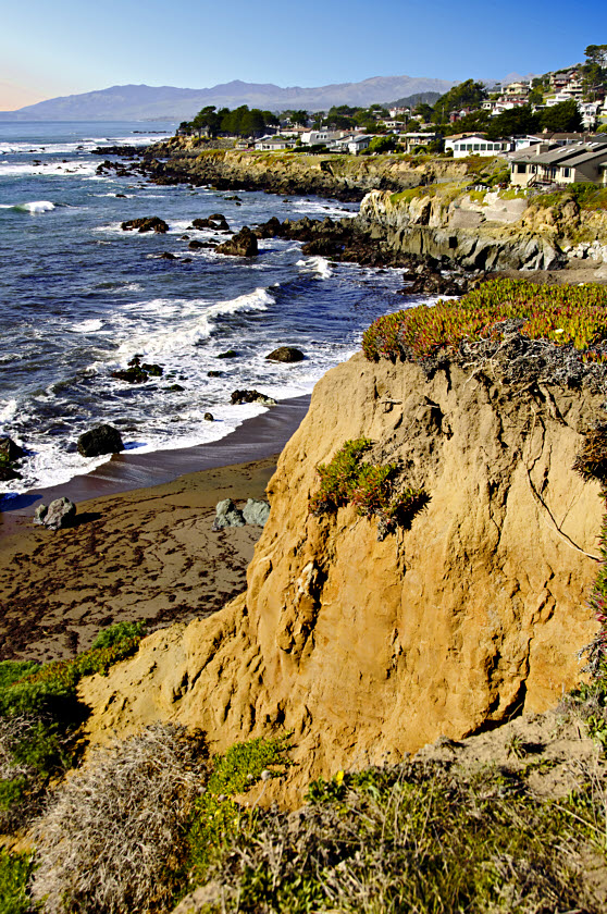 Cambria Coast #6